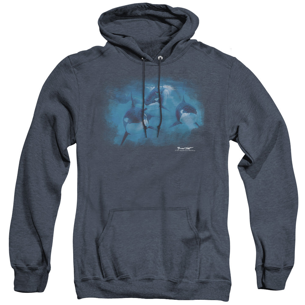 Wildlife - Pod Of Orcas - Adult Heather Hoodie - Navy