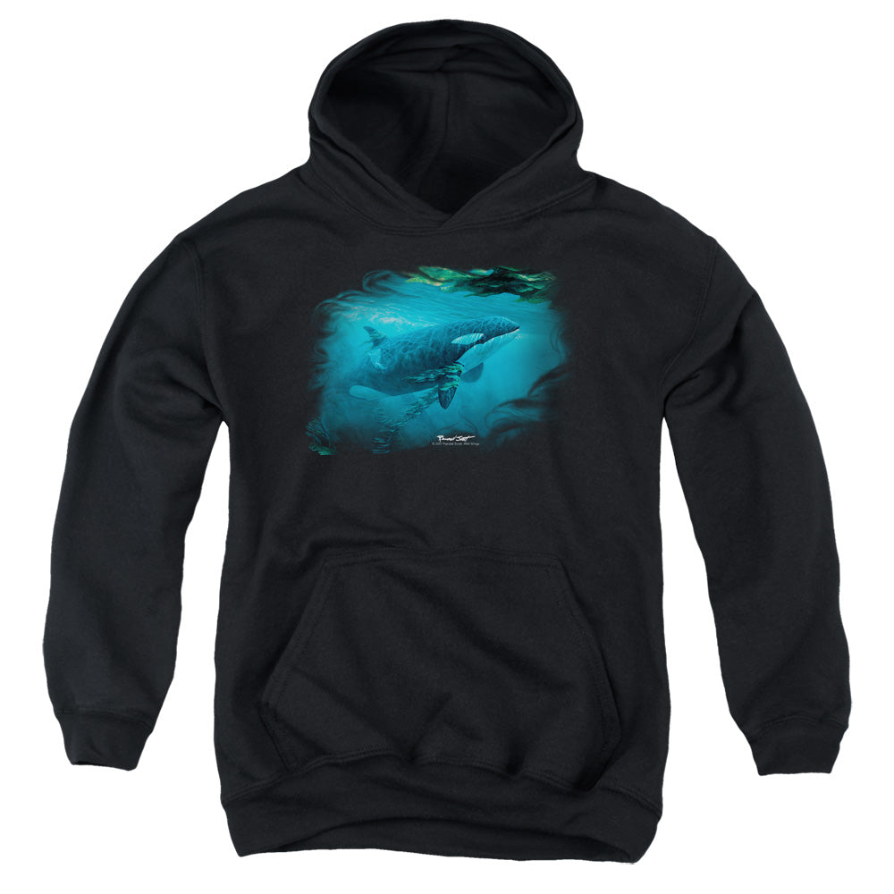 Wildlife - Pursuit Thru The Kelp Orca - Youth Pull-over Hoodie - Black