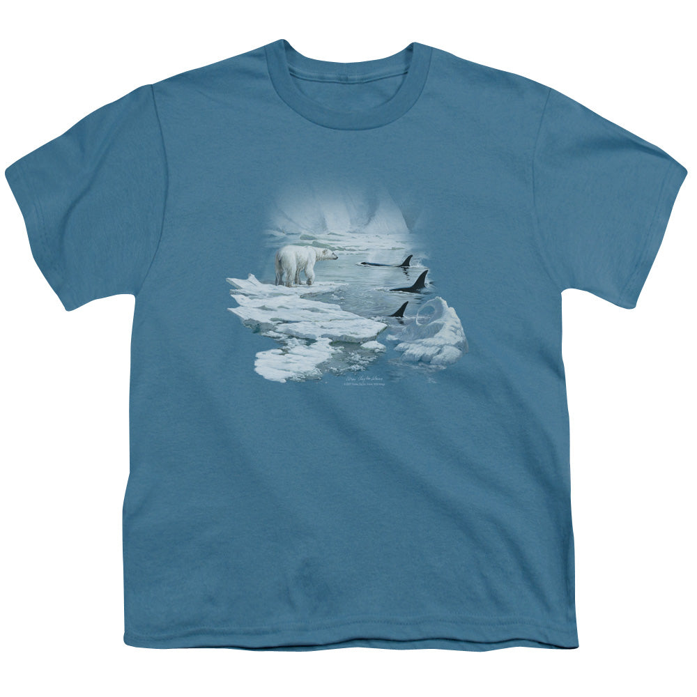 Wildlife - Glaciers Egdge - Short Sleeve Youth 18/1 - Slate T-shirt