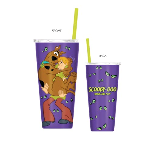 Silver Buffalo Scooby Doo Where Are You Double Walled Stainless Steel 22oz Tumbler with Straw