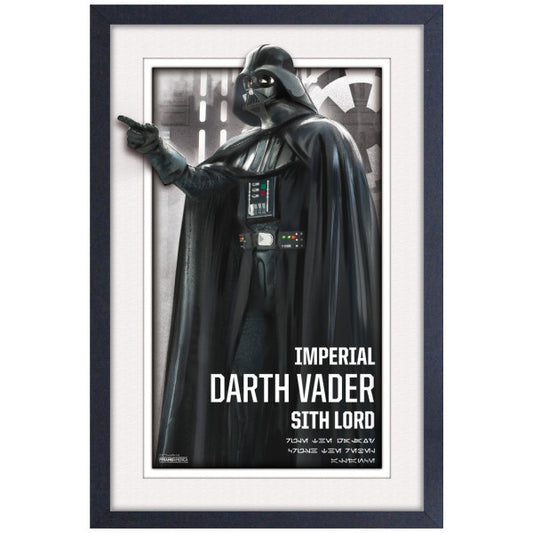 Star Wars Vader Imperial Lord 11″x17″ Faux Matte Framed Print