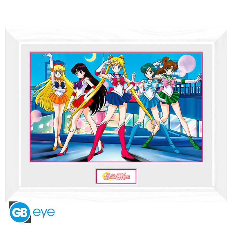 Sailor Moon Group 12x16in Framed Print
