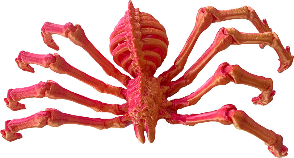 Twiddle Spider Fidget Toy (style may vary)