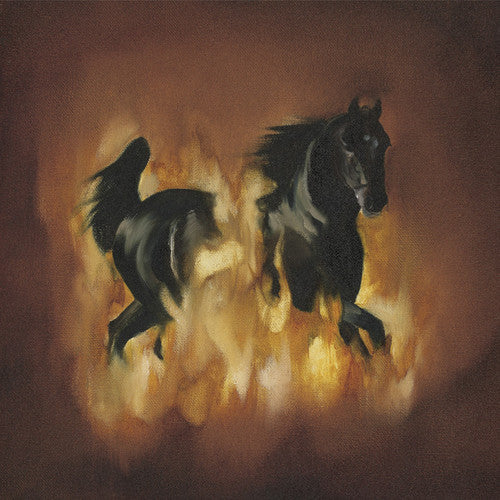 Besnard Lakes - The Besnard Lakes Are The Dark Horse