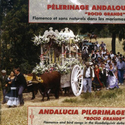 Rocio Grande / Various - Rocio Grande