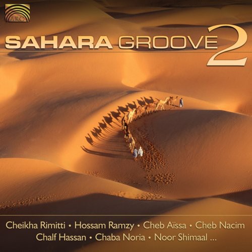 Various - Sahara Groove, Vol. 2