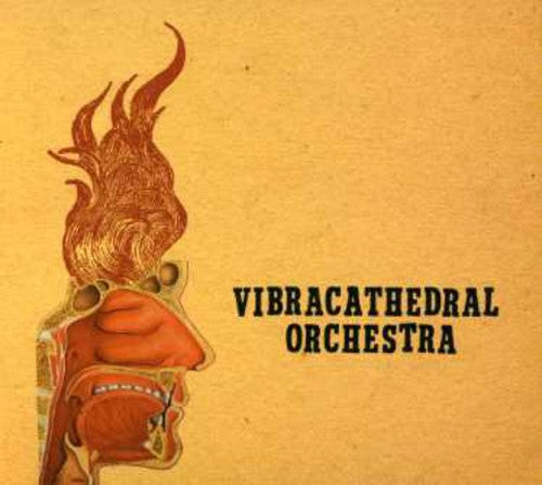 Vibracathedral Orchestra - Wisdom Thunderbolt