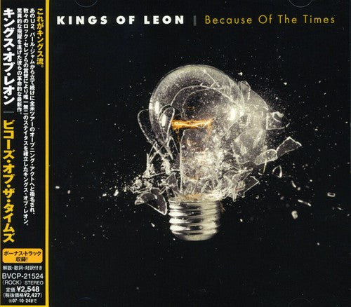 Kings of Leon - Because of the Times