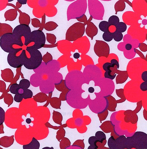 Dead C - Future Artists