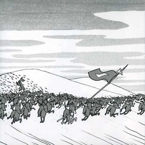 Shellac - Excellent Italian Greyhound