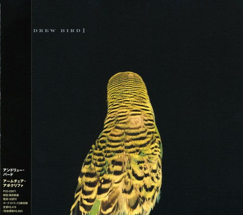 Andrew Bird - Armchair Apocrypha