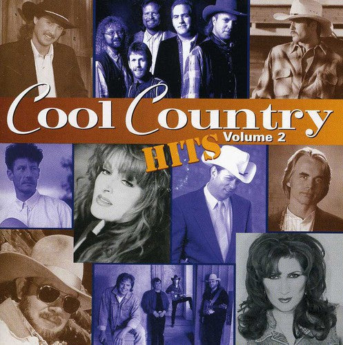 Various - Cool Country Hits 2 / Various