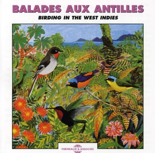 The Sounds Of Nature - the