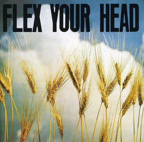 Flex Your Head/ Various - Flex Your Head