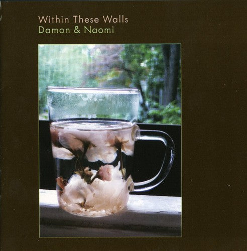 Damon & Naomi - Within These Walls