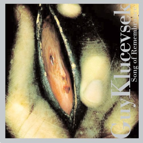 Guy Klucevsek - Song of Remembrance