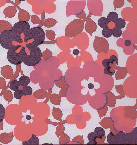 Dead C - Future Artists