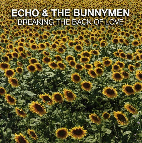 Echo & Bunnymen - Breaking The Back Of Love