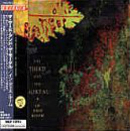 & Mortal - In This Room