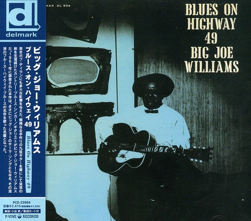 Big Joe Williams - Blues on Highway 49