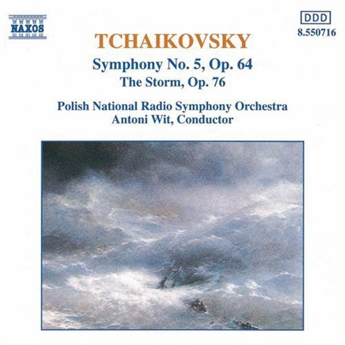 Tchaikovsky/ Wit/ Polish Nrso - Symphony 5 / Storm
