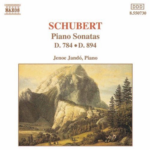 Schubert/ Jando - Piano Sonatas 784 & 894