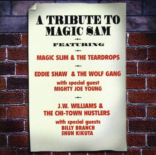 Tribute to Magic Sam/ Various - Tribute to Magic Sam / Various