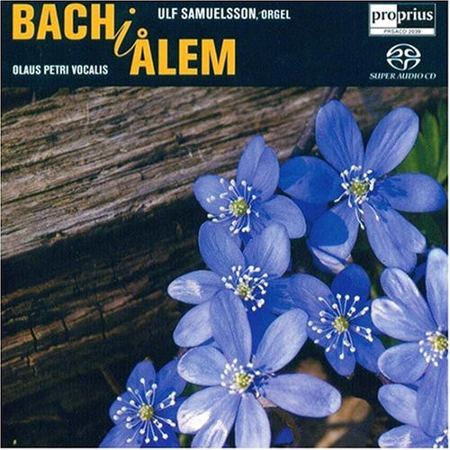 Ulf Samuelsson & Petri - Bach on Alem
