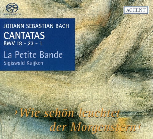 J.S. Bach / Thornhill/ Noskaiova/ Ullmann - Cantatas for the Complete Liturgical Year 6