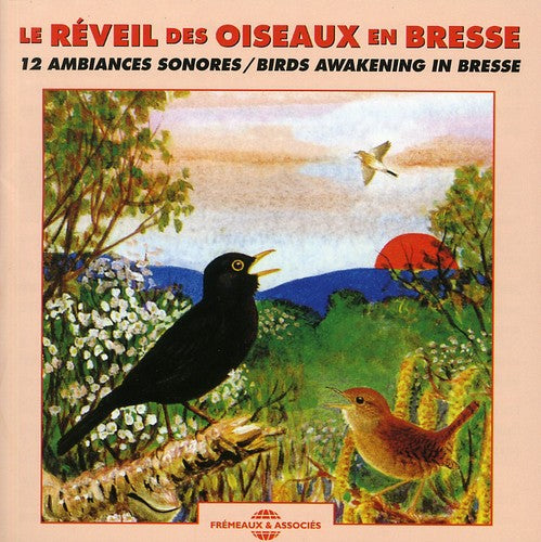 Sounds of Nature - Birds Awakening In Bresse