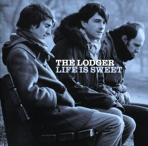 Lodger - Life Is Sweet