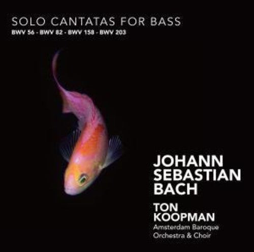 Koopman - Solo Cantatas for Bass
