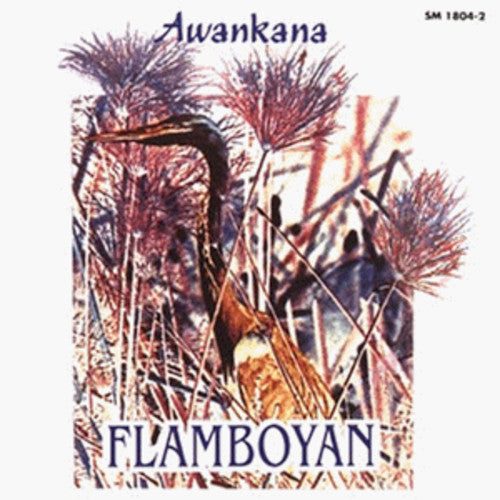 Flamboyan - Flamboyan-River of the Stars