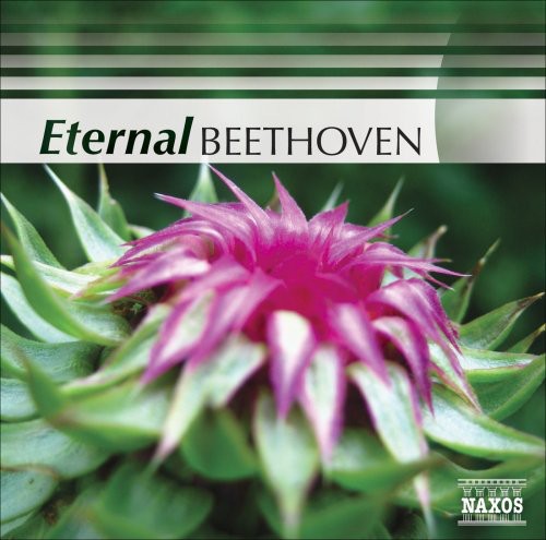Eternal Beethoven/ Various - Eternal Beethoven / Various