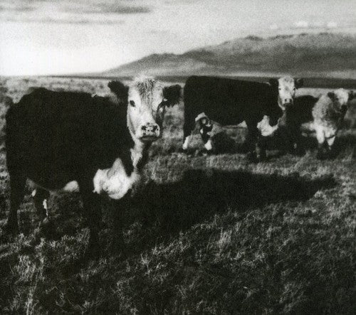 Mark Kozelek - Finally