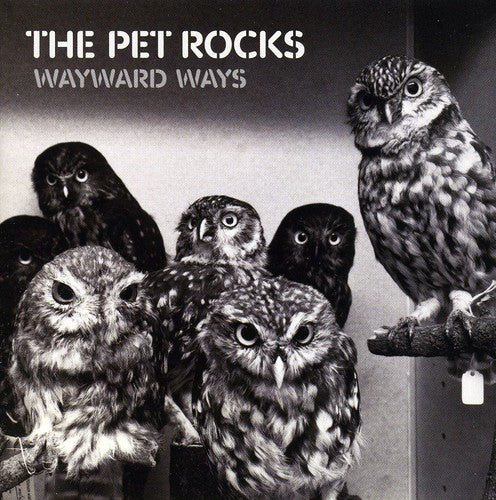 Pet Rocks - Wayward Ways