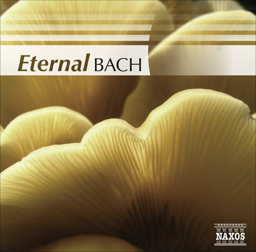 Eternal Bach/ Various - Eternal Bach / Various