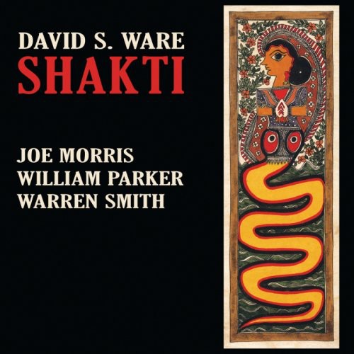David Ware S - Shakti
