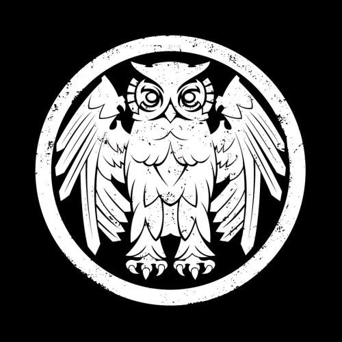 Riverboat Gamblers - Underneath The Owl