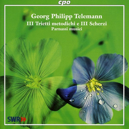 Telemann/ Parnassi Musici - Ill Trietti Metodichi E Ill Scherzi