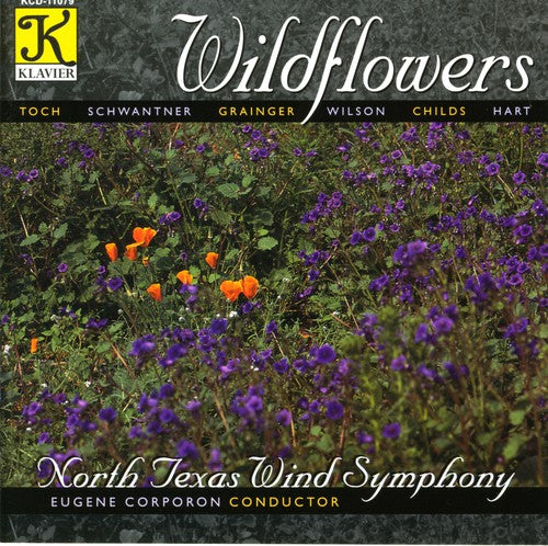 North Texas Wind - Wildflowers