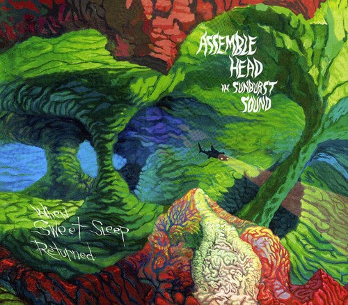 Assemble Head in Sunburst Sound - When Sweet Sleep Returned