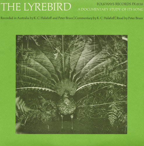 Peter Bruce - The Lyrebird: A Documentary Study of It's Song