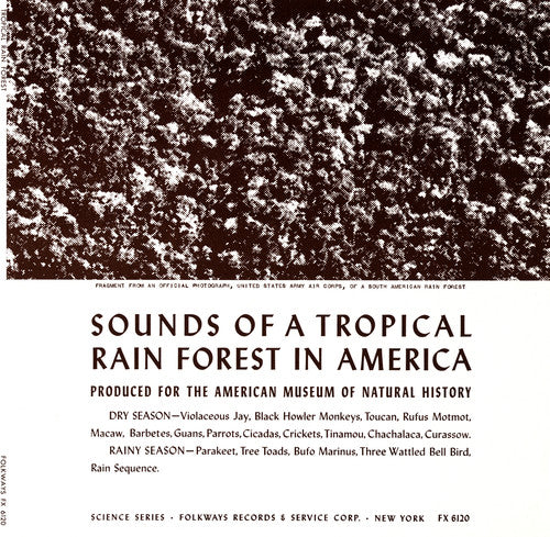 Various Artists - Tropical Rain Forest / Various