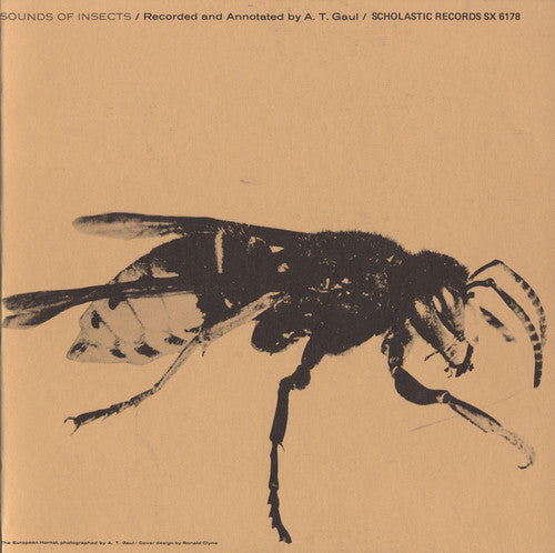 Various Artists - Sounds of Insects / Various