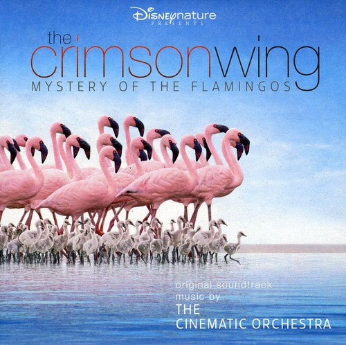 Cinematic Orchestra - The Crimson Wing: Mystery Of The Flamingos