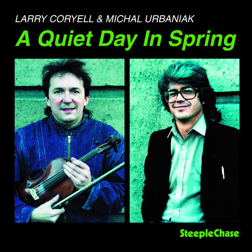 Larry Coryell - Quiet Day in Spring