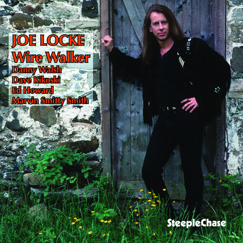 Joe Locke - Wire Walker