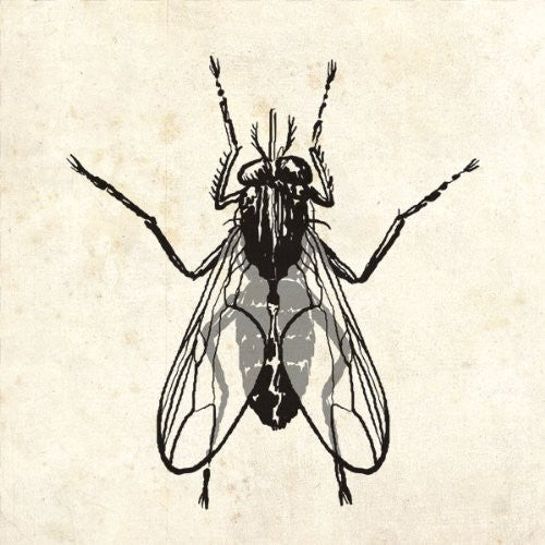 Chubby Checker - The Fly