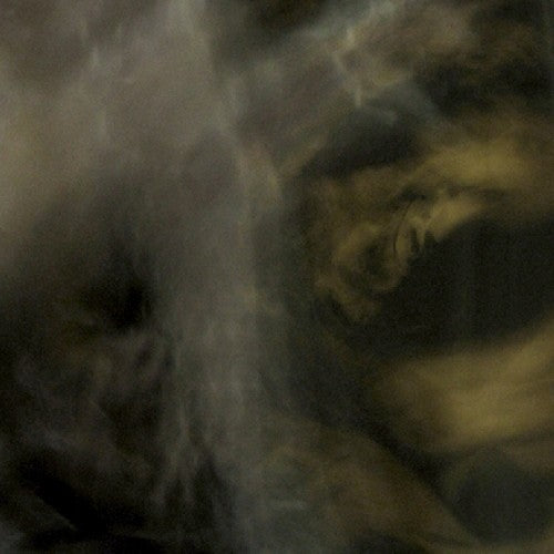 Pixyblink/ Rhea Tucanae - Fungi from